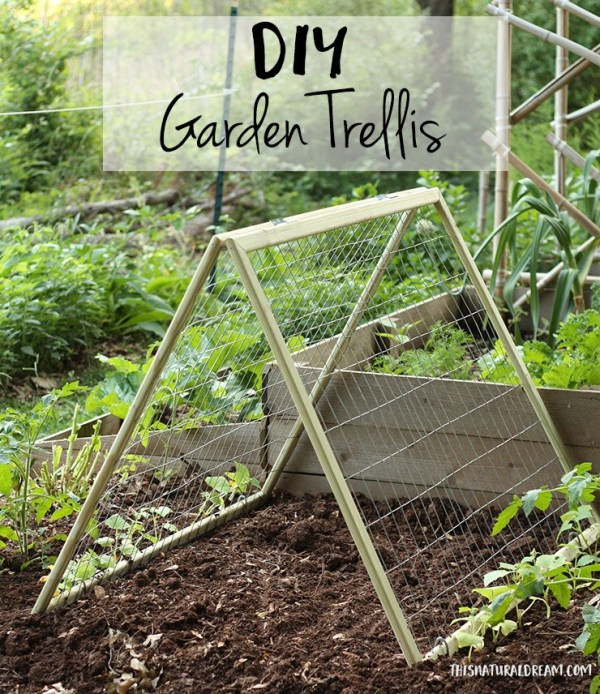 Best ideas about DIY Garden Trellises
. Save or Pin DIY Garden Trellis This Natural Dream Now.