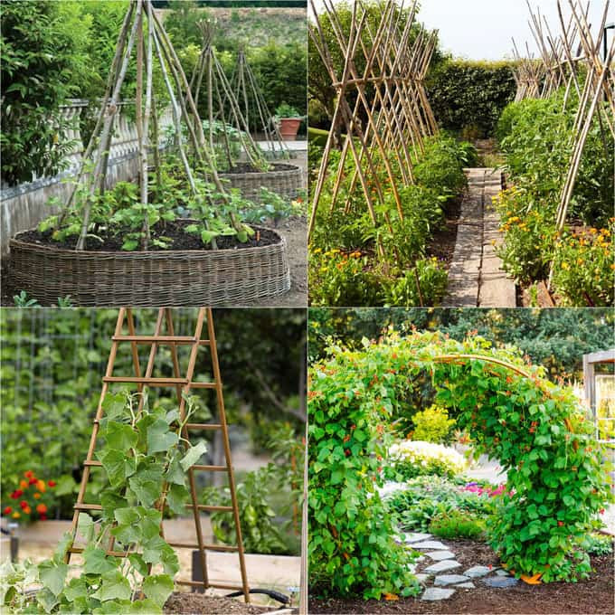 Best ideas about DIY Garden Trellises
. Save or Pin 20 Favorite Flowering Vines and Climbing Plants A Piece Now.