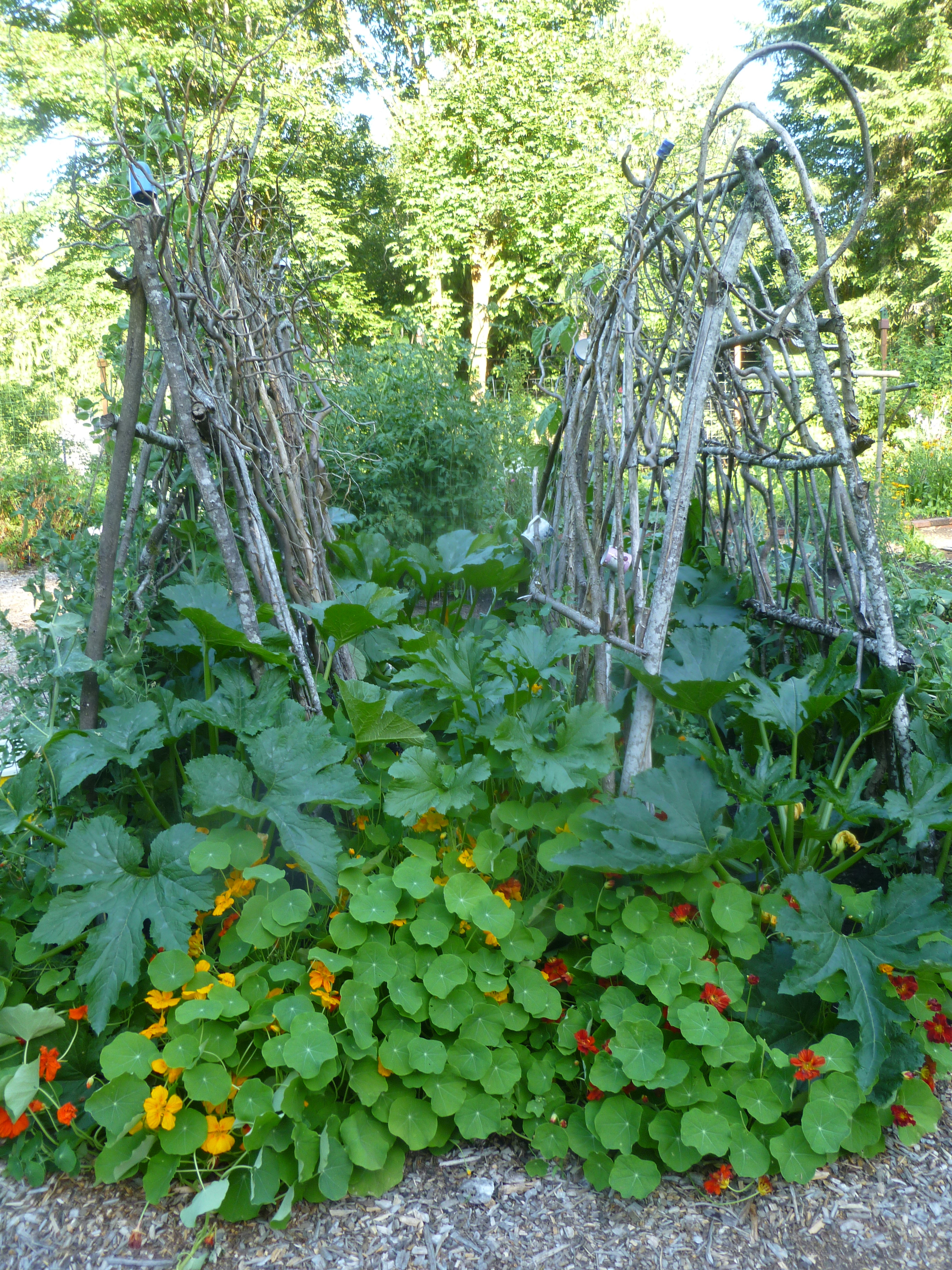 Best ideas about DIY Garden Trellises
. Save or Pin DIY Garden Trellis Ideas Now.