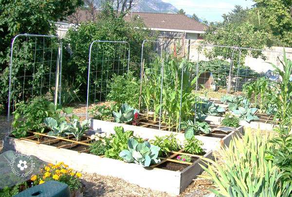 Best ideas about DIY Garden Trellises
. Save or Pin Going Buggy DIY Garden Trellis onecreativemommy Now.