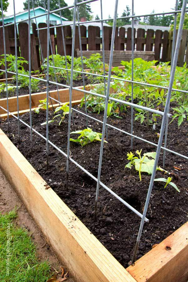 Best ideas about DIY Garden Trellises
. Save or Pin DIY Garden Trellis Now.