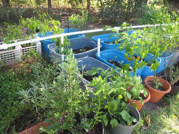 Best ideas about DIY Garden Watering Systems
. Save or Pin DIY PVC Garden Watering System Now.