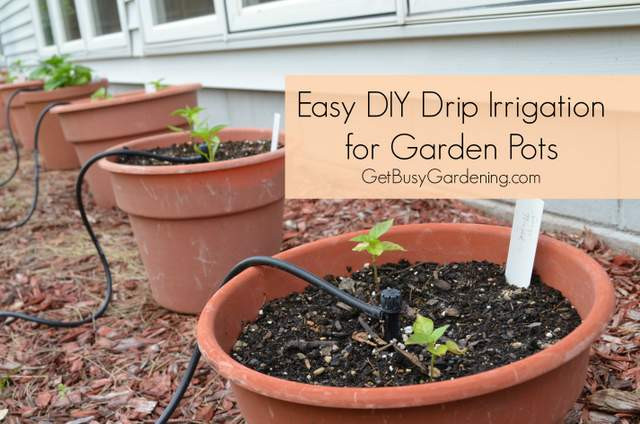 Best ideas about DIY Garden Watering Systems
. Save or Pin 12 DIY Drip Irrigation To Water Your Plants Frugally Now.