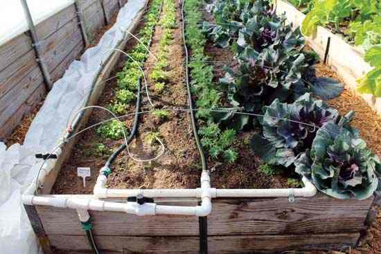 Best ideas about DIY Garden Watering Systems
. Save or Pin How to Build a Drip Irrigation System DIY Mother Earth Now.