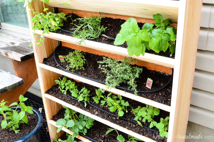 Best ideas about DIY Garden Watering Systems
. Save or Pin DIY Vertical Garden with Drip Watering System Houseful Now.