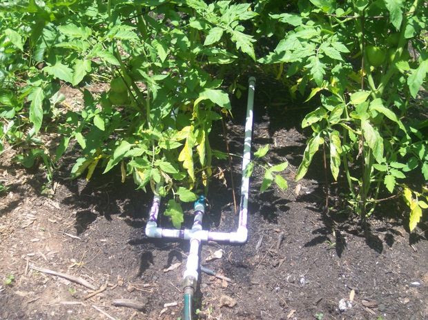 Best ideas about DIY Garden Watering Systems
. Save or Pin Rainwater Drip Irrigation System 7 Steps Now.