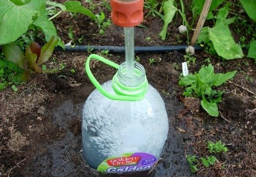 Best ideas about DIY Garden Watering Systems
. Save or Pin 12 DIY Drip Irrigation To Water Your Plants Frugally Now.