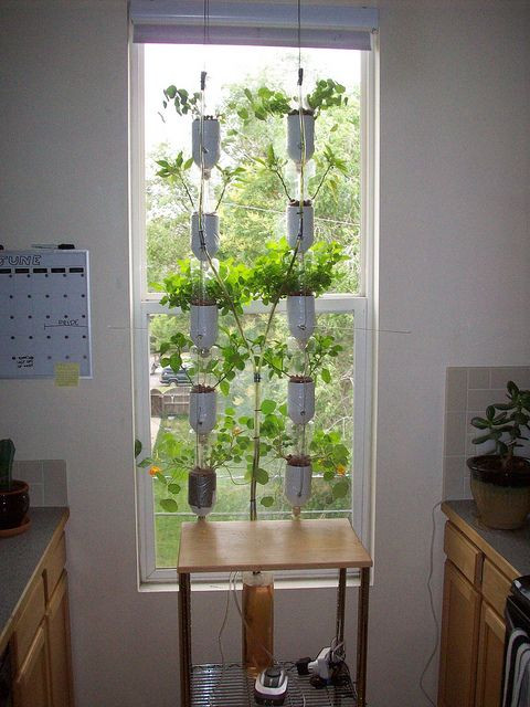 Best ideas about DIY Garden Window
. Save or Pin Windowfarms is an open source project to develop indoor Now.