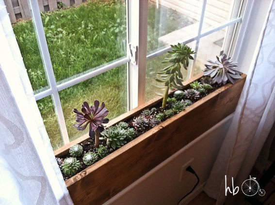 Best ideas about DIY Garden Window
. Save or Pin DIY Idea Make a 10 Minute Succulent Windowsill Box This Now.