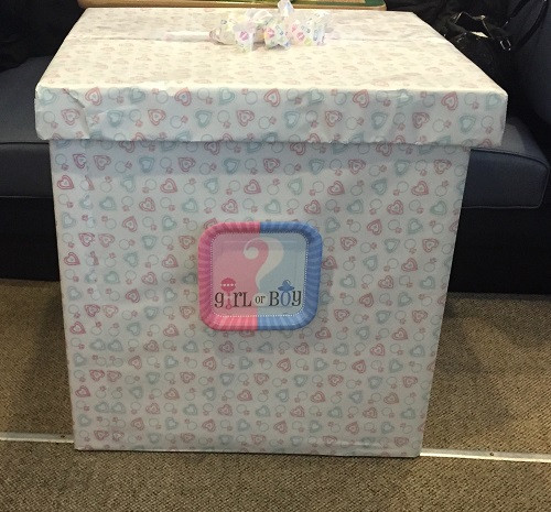 Best ideas about DIY Gender Reveal Box
. Save or Pin Gender Reveal DIY Box e Wag Along Now.