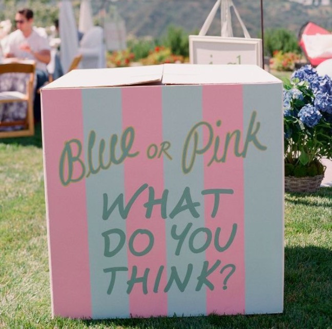 Best ideas about DIY Gender Reveal Box
. Save or Pin Gender Reveal Party Ideas 30 Epic Ways to Break the News Now.