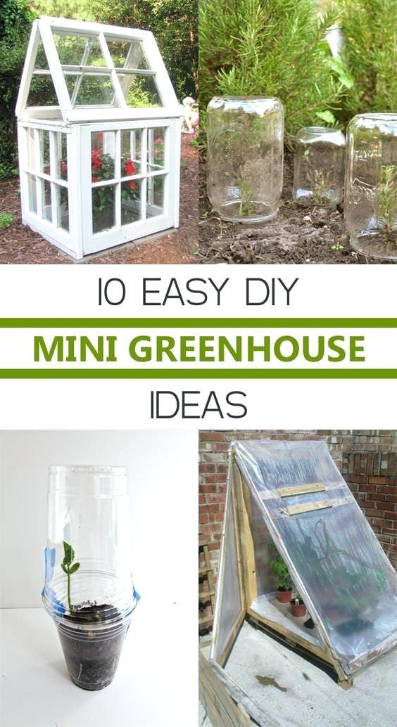Best ideas about DIY Greenhouse Kit
. Save or Pin miniature greenhouse – o college edu Now.