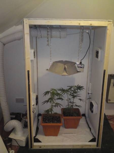 Best ideas about DIY Grow Box Plans
. Save or Pin DIY Marijuana Grow Box I like this system It is an Now.