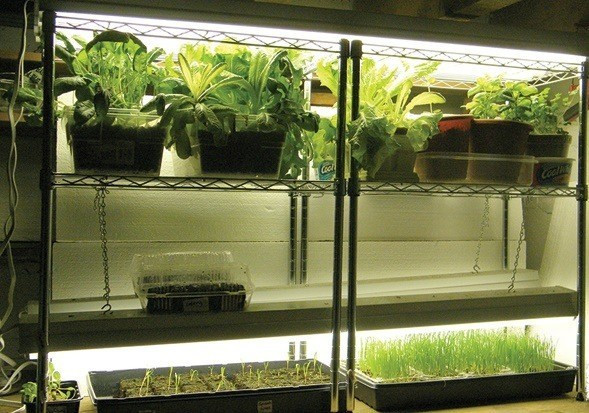 Best ideas about DIY Grow Tent Plans
. Save or Pin Review The Best Hydroponics Grow Tent Kits Now.