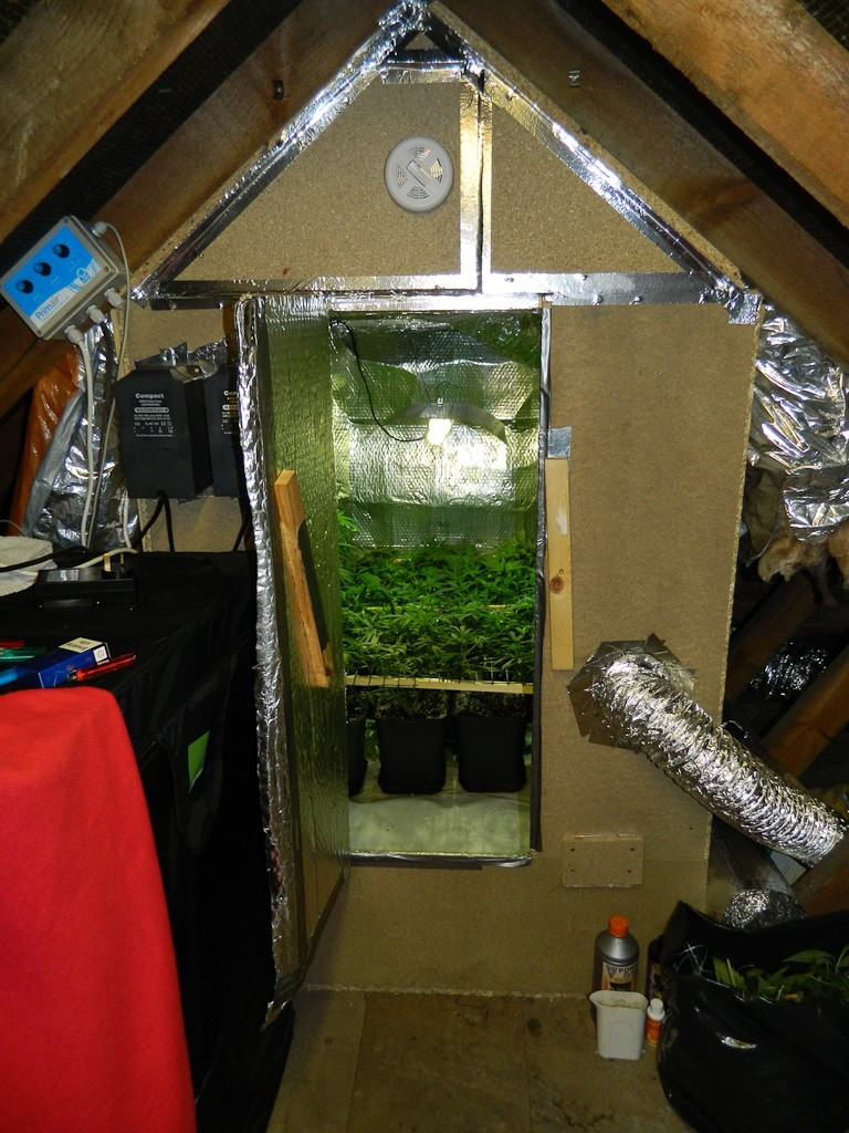 Best ideas about DIY Grow Tent Plans
. Save or Pin Attic Grow Tent & Roof Qube 1 5m RQ150 Sc 1 St Grown Up Now.