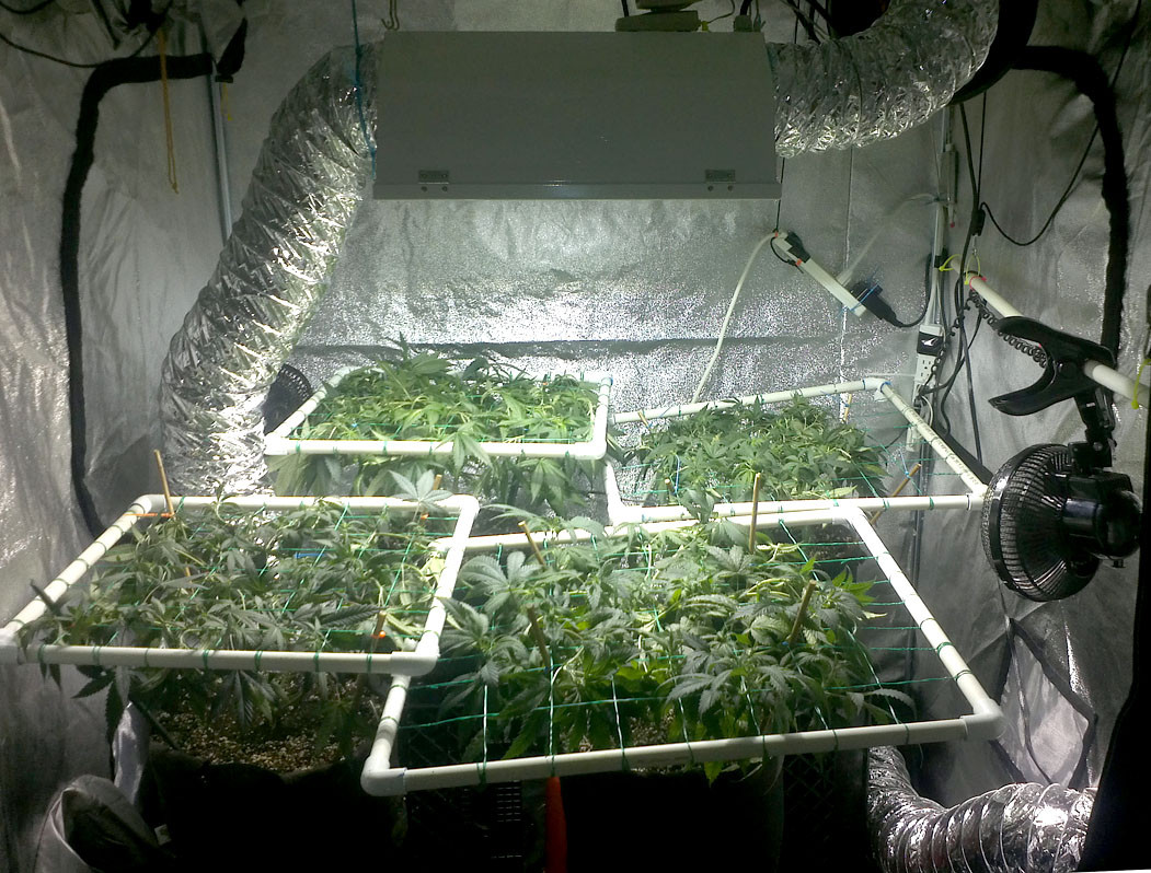 Best ideas about DIY Grow Tent Plans
. Save or Pin Grow Room Setup Diagram Grow Get Free Image About Wiring Now.