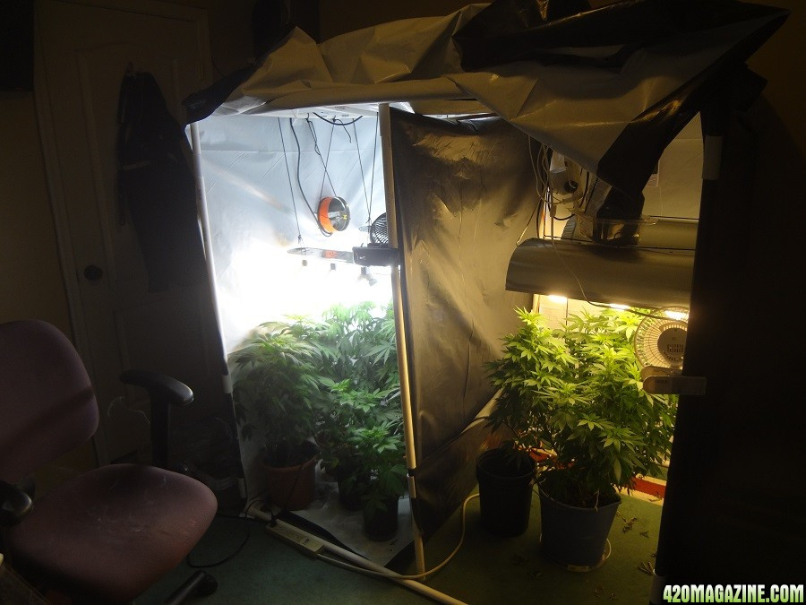 Best ideas about DIY Grow Tent Plans
. Save or Pin First Grow Bag Seed DIY Grow Box FFOF With Nutes Diy Pvc Now.
