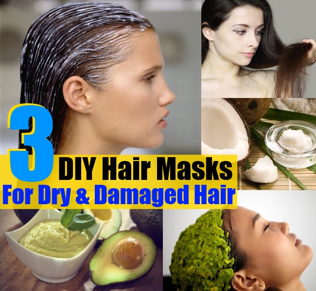 Best ideas about DIY Hair Mask For Dry Hair
. Save or Pin 3 DIY Hair Masks For Dry And Damaged Hair Now.