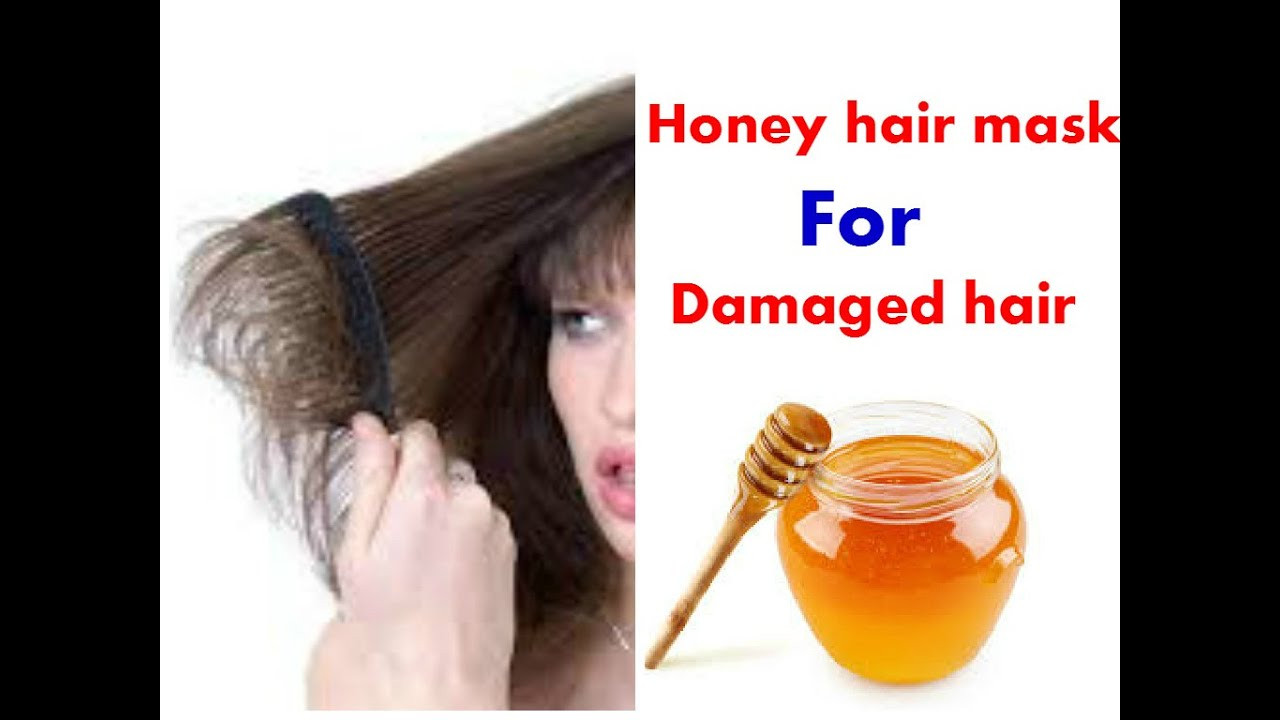 Best ideas about DIY Hair Masks For Damaged Hair
. Save or Pin DIY Homemade Honey hair mask for Damaged hair Now.