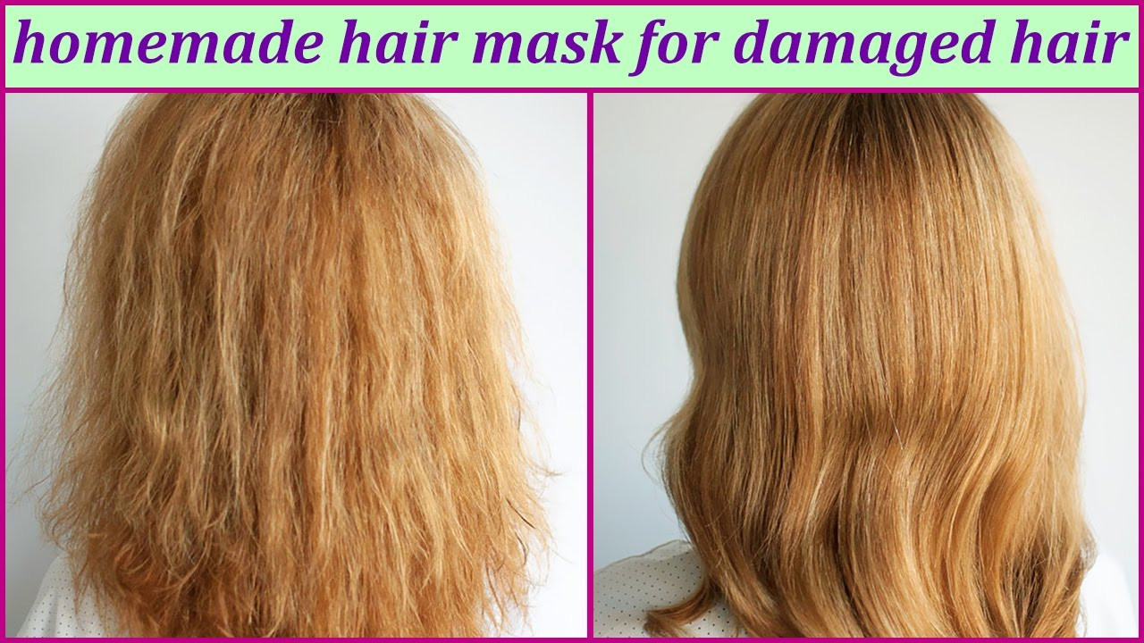 Best ideas about DIY Hair Masks For Damaged Hair
. Save or Pin Homemade Hair Mask For Damaged Hair Now.