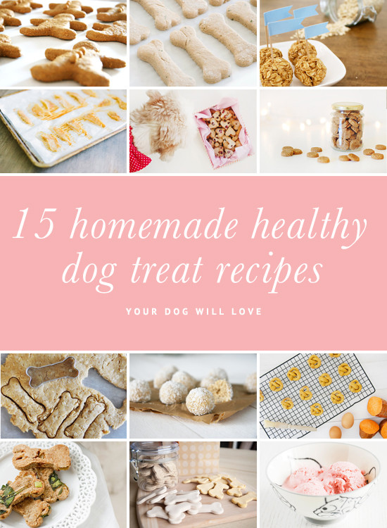 Best ideas about DIY Healthy Dog Treats
. Save or Pin Pretty Fluffy Now.