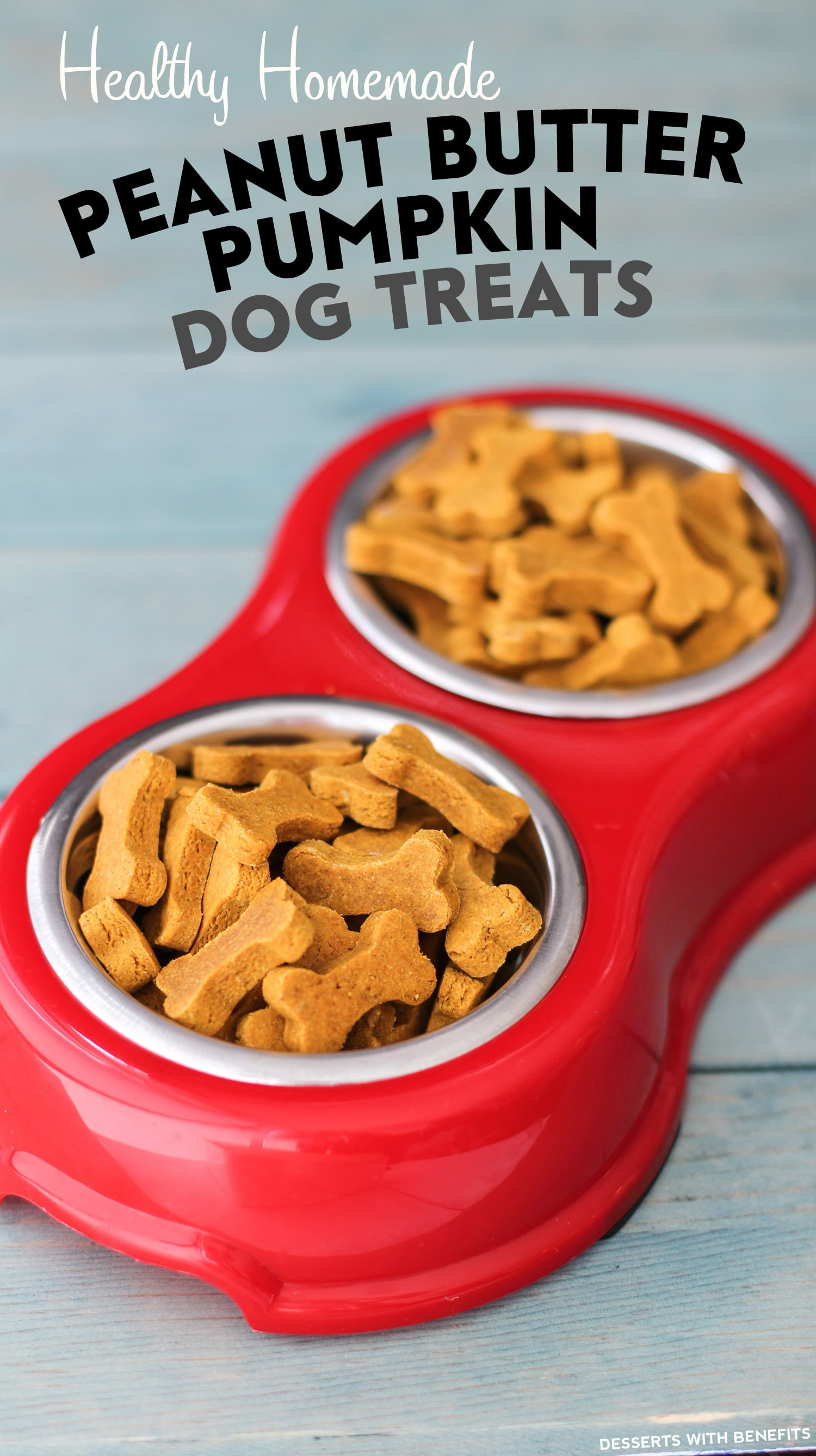 Best ideas about DIY Healthy Dog Treats
. Save or Pin Healthy Homemade Peanut Butter Pumpkin Dog Treats Now.