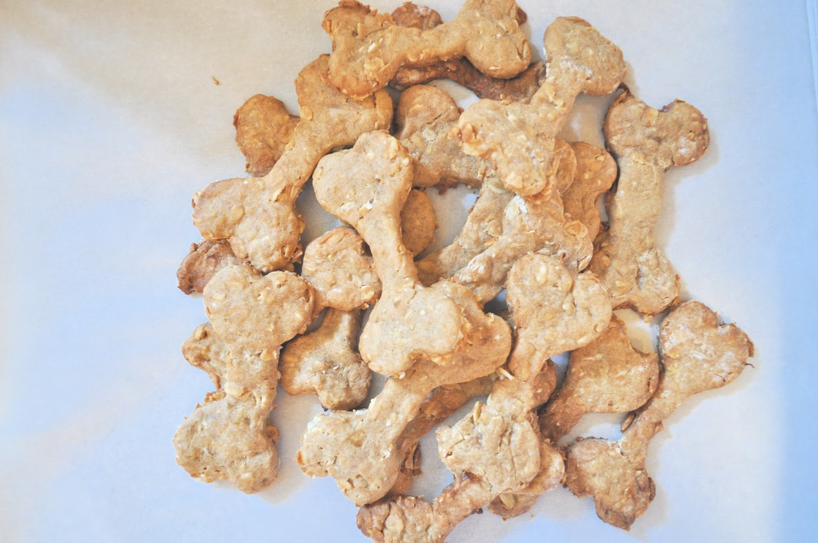 Best ideas about DIY Healthy Dog Treats
. Save or Pin Olive & Gray Healthy homemade dog treats Now.