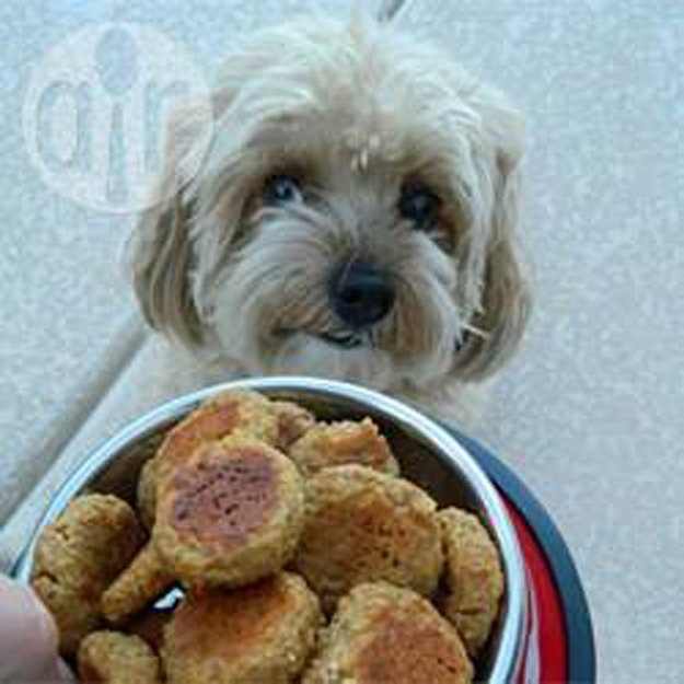 Best ideas about DIY Healthy Dog Treats
. Save or Pin Healthy Recipes Homemade Dog Treats Now.