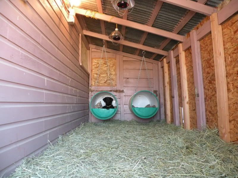 Best ideas about DIY Heated Dog House
. Save or Pin Bed hay heat lamps and heated water Now.