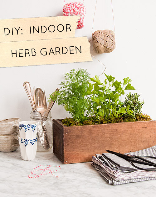 Best ideas about DIY Herb Garden Box
. Save or Pin DIY Kitchen Garden Planter – Design Sponge Now.