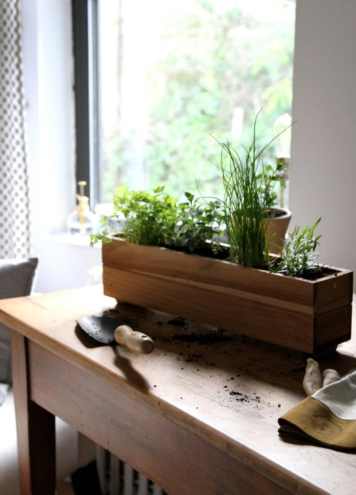 Best ideas about DIY Herb Garden Box
. Save or Pin DIY Shade Tolerant Herbs To Grow in Your Apartment Now.