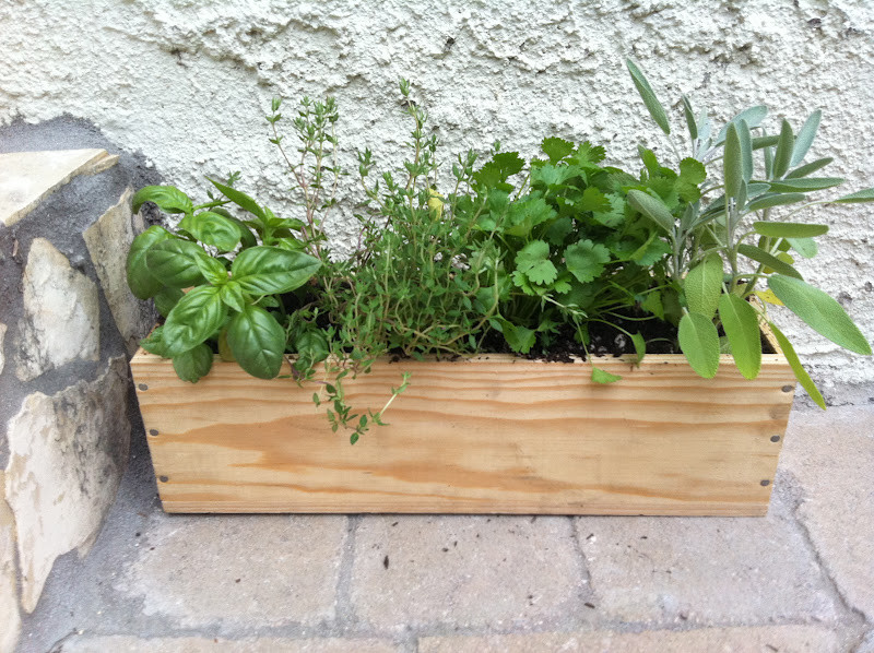 Best ideas about DIY Herb Garden Box
. Save or Pin meremade DIY wine box herb garden Now.