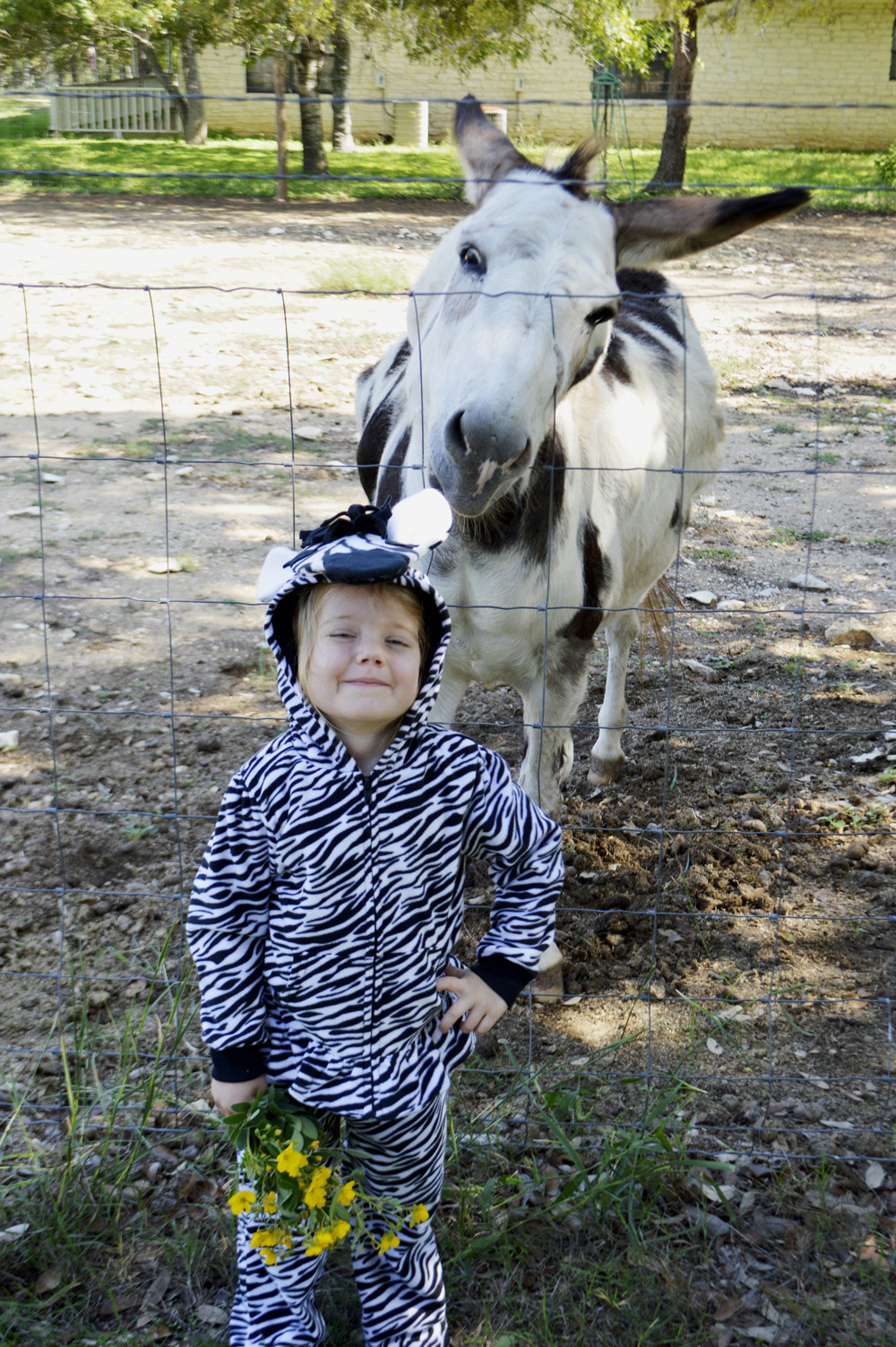 Best ideas about DIY Horse Costumes
. Save or Pin Tutorial Easy DIY Zebra Horse or Unicorn Costume Now.