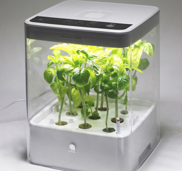 Best ideas about DIY Hydro Grow Box
. Save or Pin Grow cabinet and grow box ideas – how to develop plants Now.