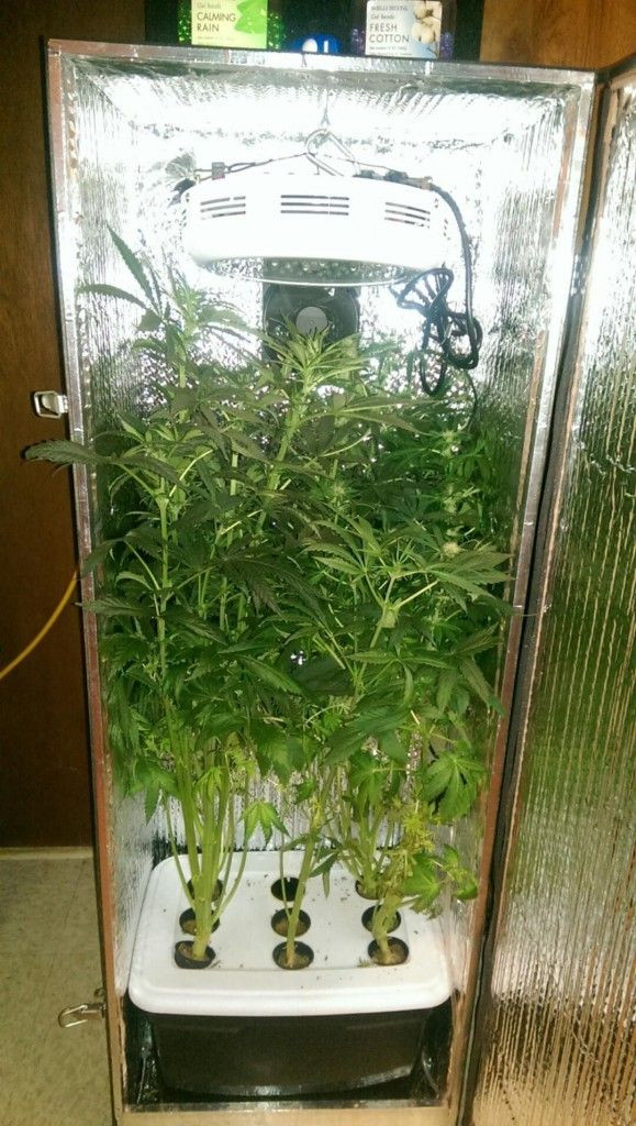 Best ideas about DIY Hydroponic Grow Box
. Save or Pin Trinity 3 0 HPS Grow Cabinet Now.