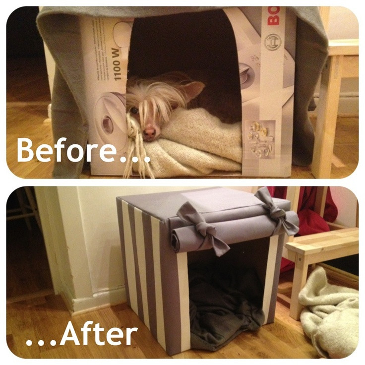 Best ideas about DIY Indoor Dog House
. Save or Pin Diy Indoor Dog House Cardboard box and fabric Now.