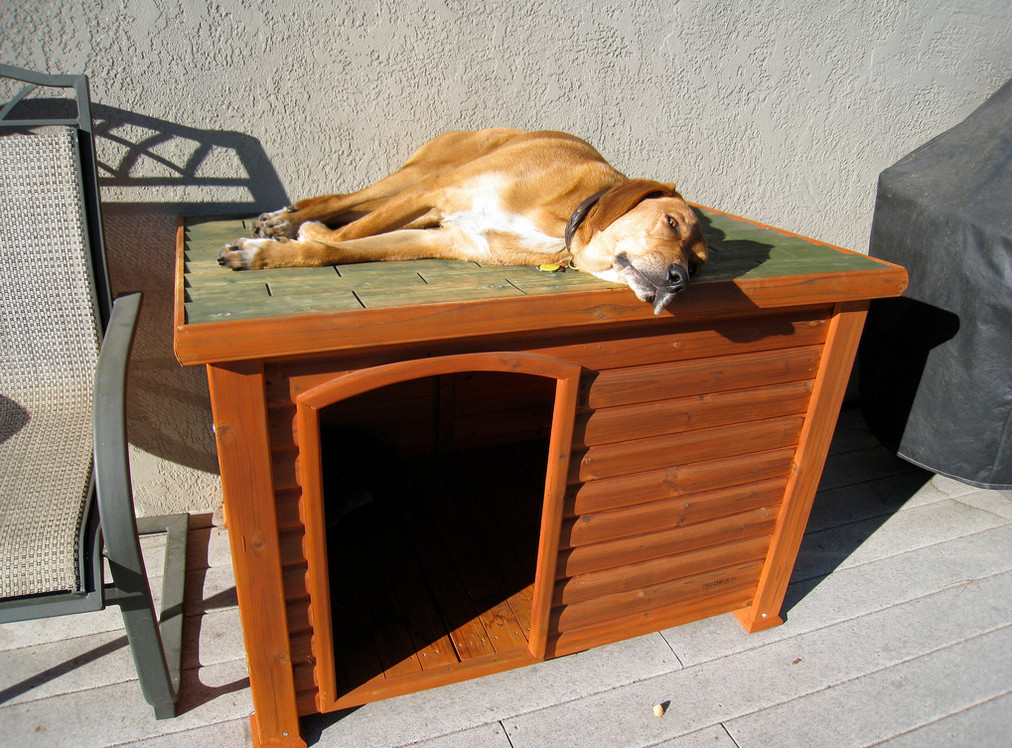 Best ideas about DIY Indoor Dog House
. Save or Pin DIY Indoor Dog Kennel Now.