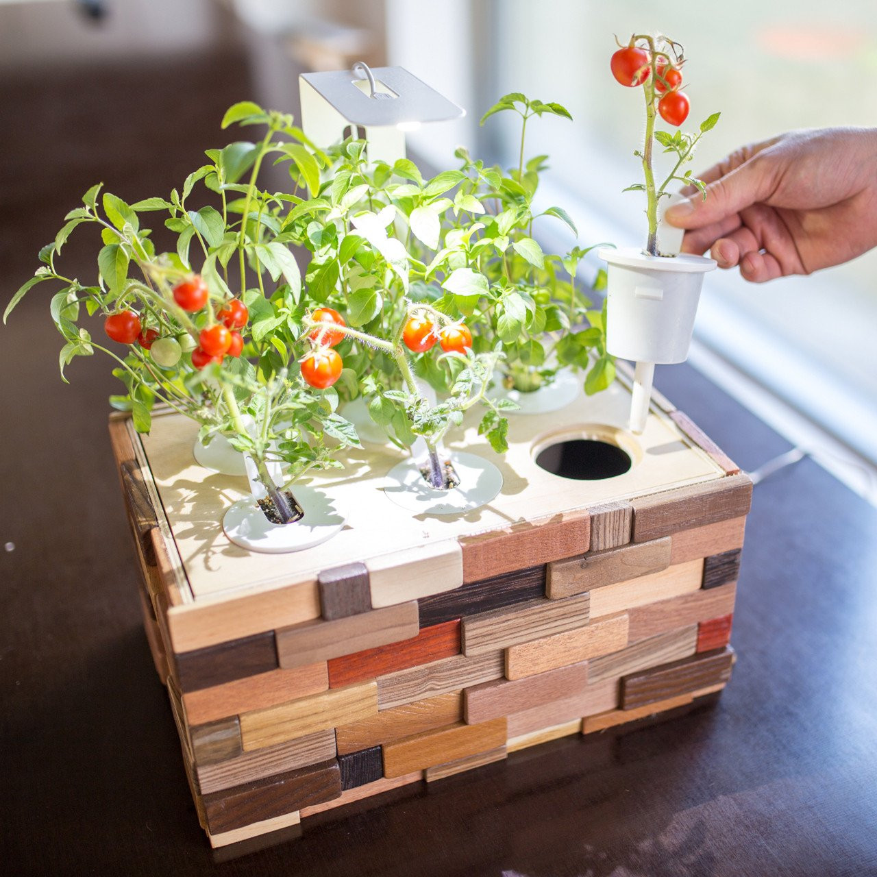 Best ideas about DIY Indoor Gardening
. Save or Pin DIY Indoor Garden Kit Now.