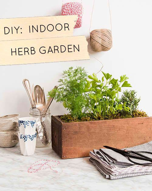 Best ideas about DIY Indoor Gardening
. Save or Pin DIY Indoor Herb Garden Gardening Stuff Now.