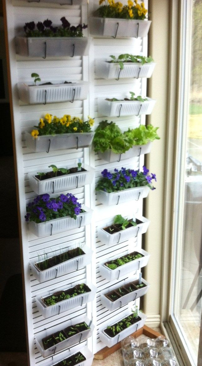 Best ideas about DIY Indoor Gardening
. Save or Pin 1000 images about My DIY Indoor Garden on Pinterest Now.