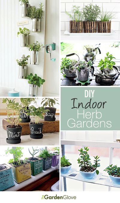 Best ideas about DIY Indoor Gardening
. Save or Pin DIY Indoor Herb Gardens Now.