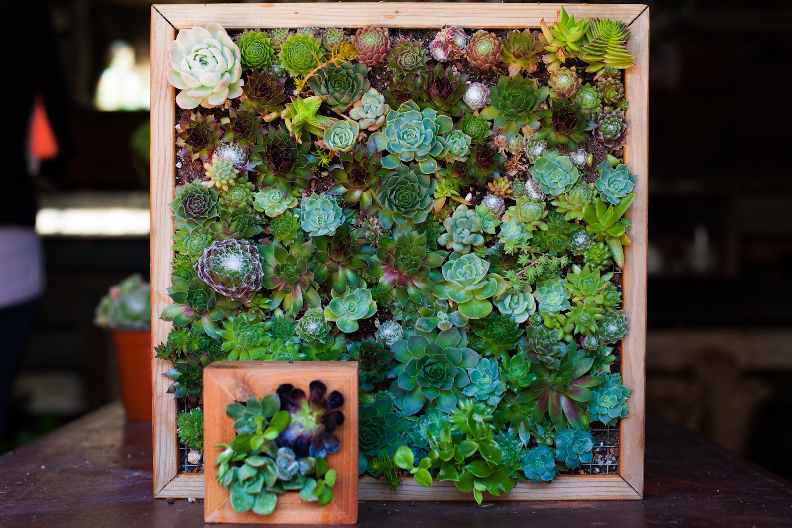 Best ideas about DIY Indoor Gardening
. Save or Pin Craftionary Now.