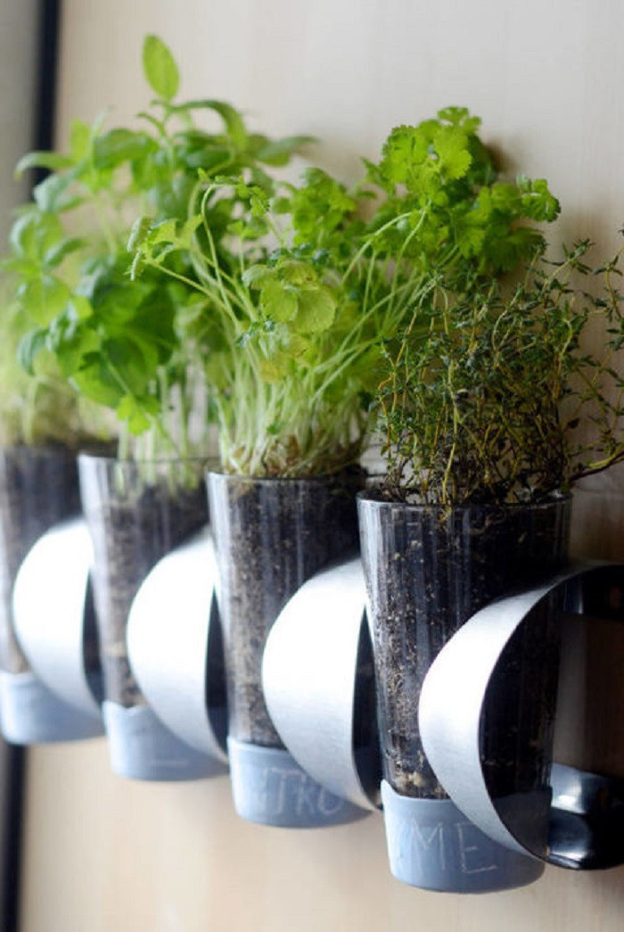 Best ideas about DIY Indoor Gardening
. Save or Pin DIY Indoor Herbs Garden Ideas Now.