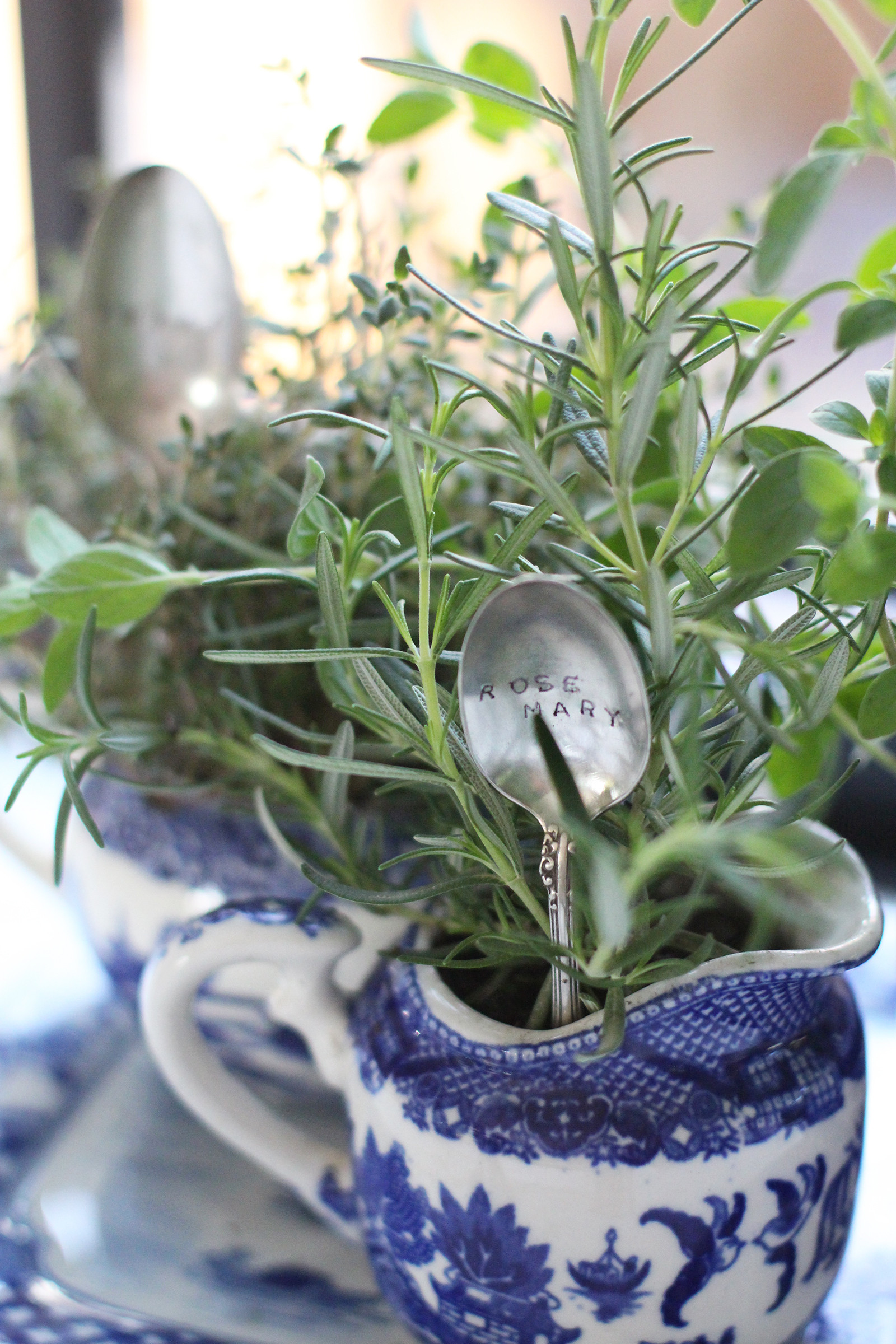 Best ideas about DIY Indoor Gardening
. Save or Pin DIY Indoor Garden – Honestly WTF Now.