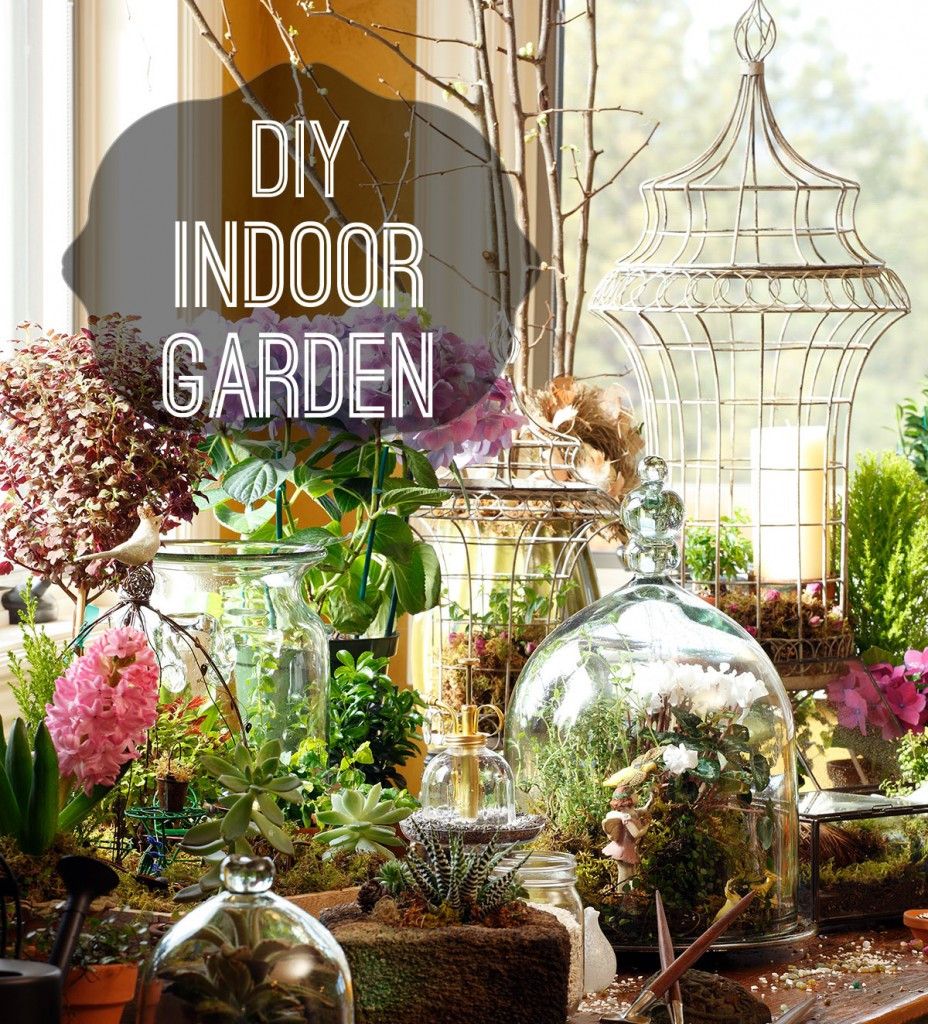 Best ideas about DIY Indoor Gardening
. Save or Pin How to DIY and Indoor Garden Now.