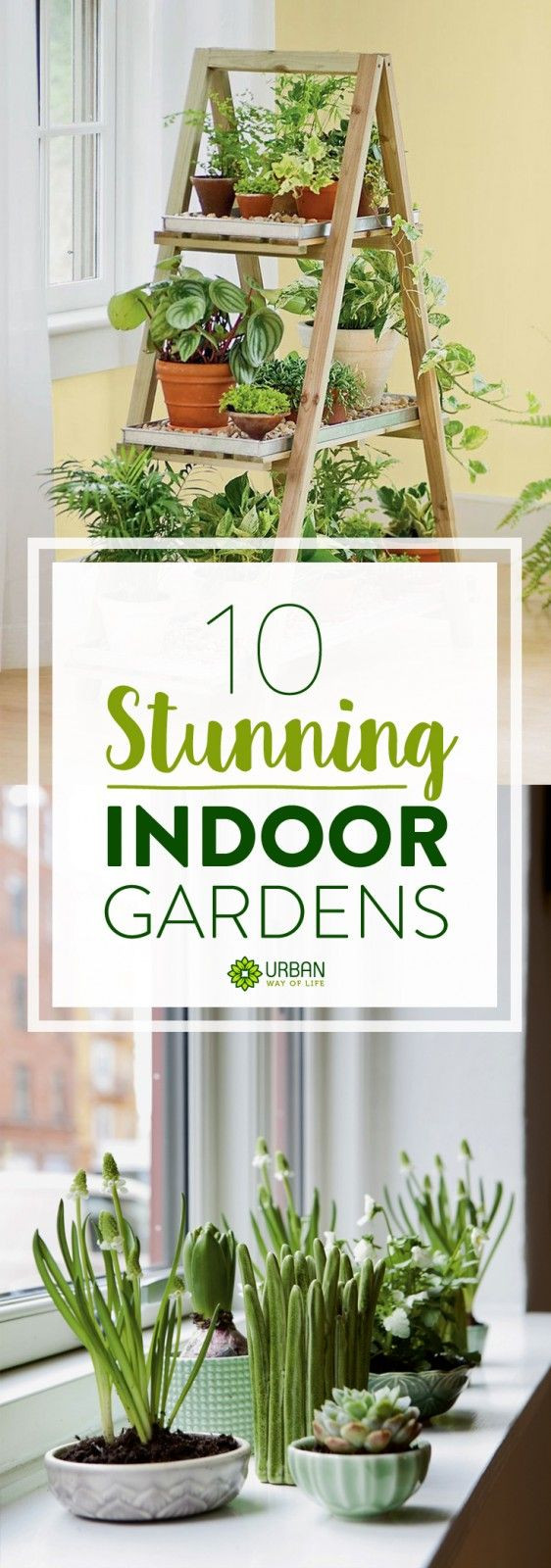 Best ideas about DIY Indoor Gardening
. Save or Pin 25 best ideas about Indoor Gardening on Pinterest Now.