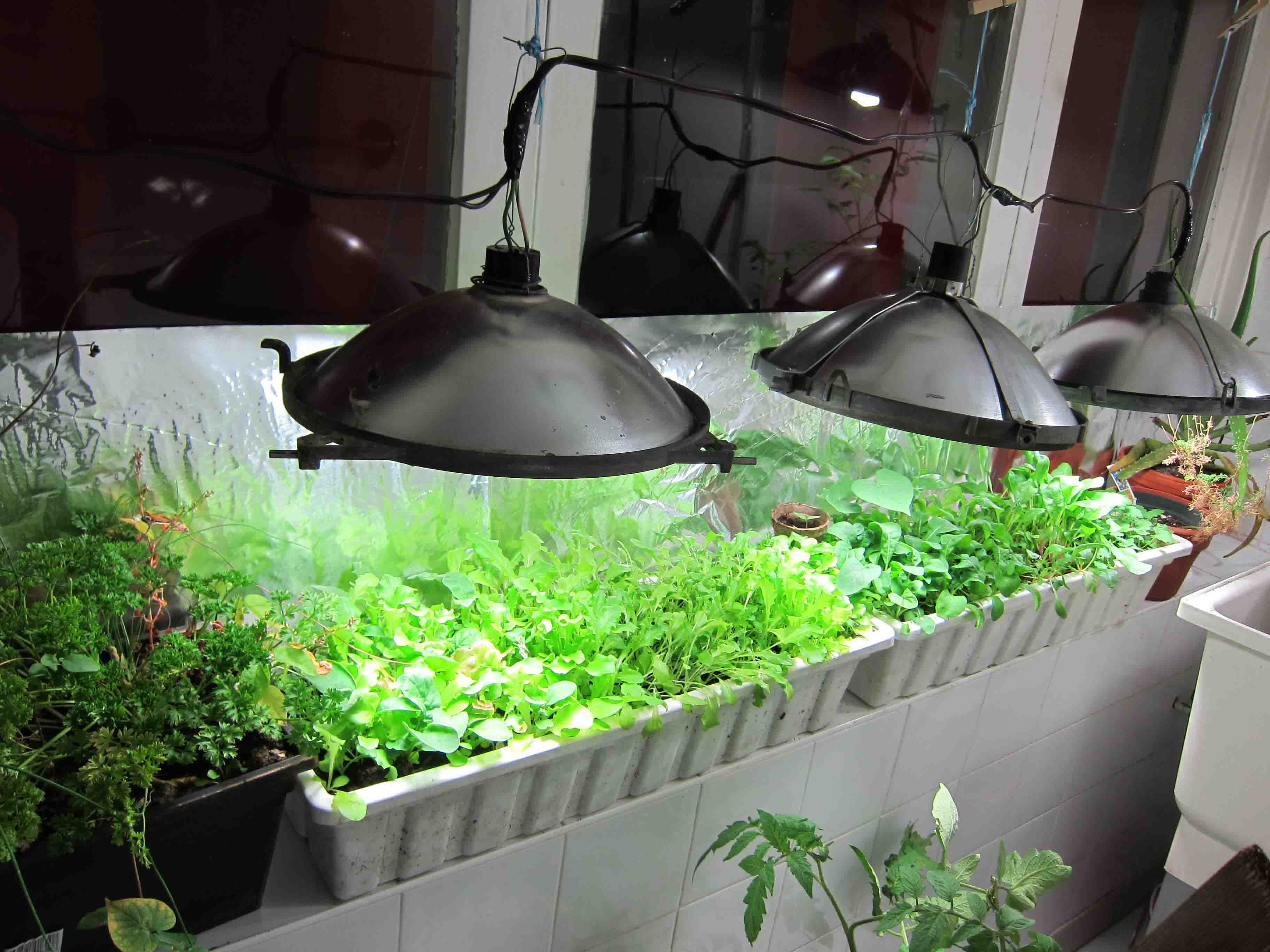 Best ideas about DIY Indoor Gardening
. Save or Pin DIY indoor greenhouse Now.