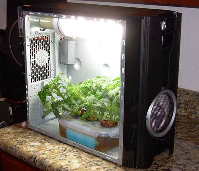 Best ideas about DIY Indoor Grow Box
. Save or Pin How to Build a Simple Grow Box Now.