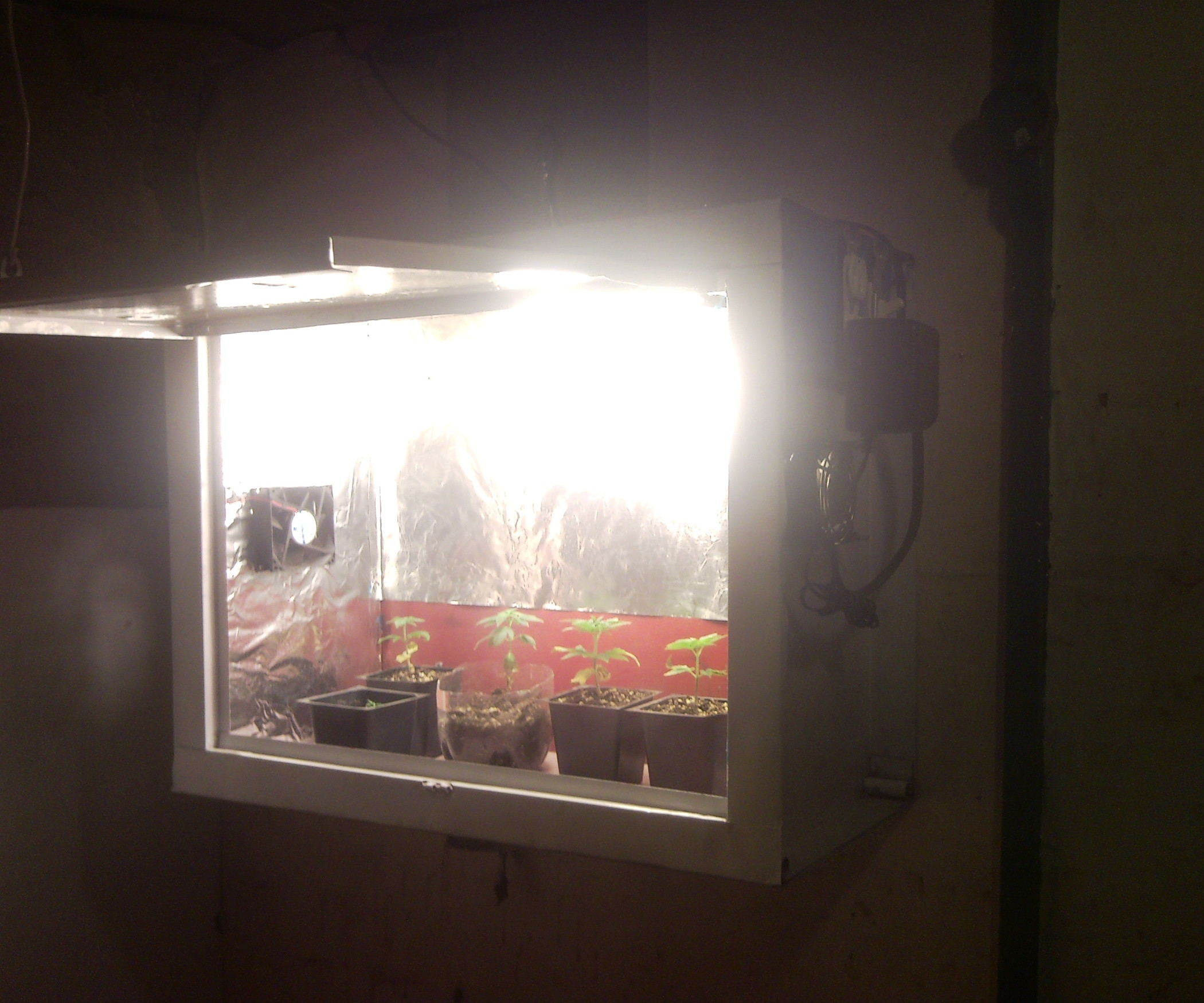 Best ideas about DIY Indoor Grow Box
. Save or Pin DIY Indoor Seedling Grow Box Installing the 120 volt wiring Now.