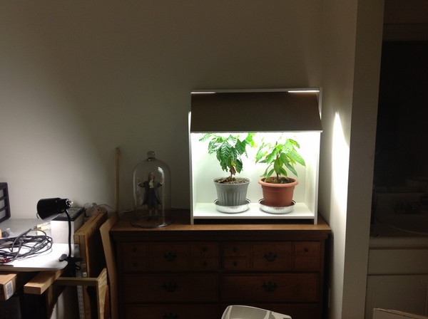 Best ideas about DIY Indoor Grow Box
. Save or Pin Grow cabinet and grow box ideas – how to develop plants Now.